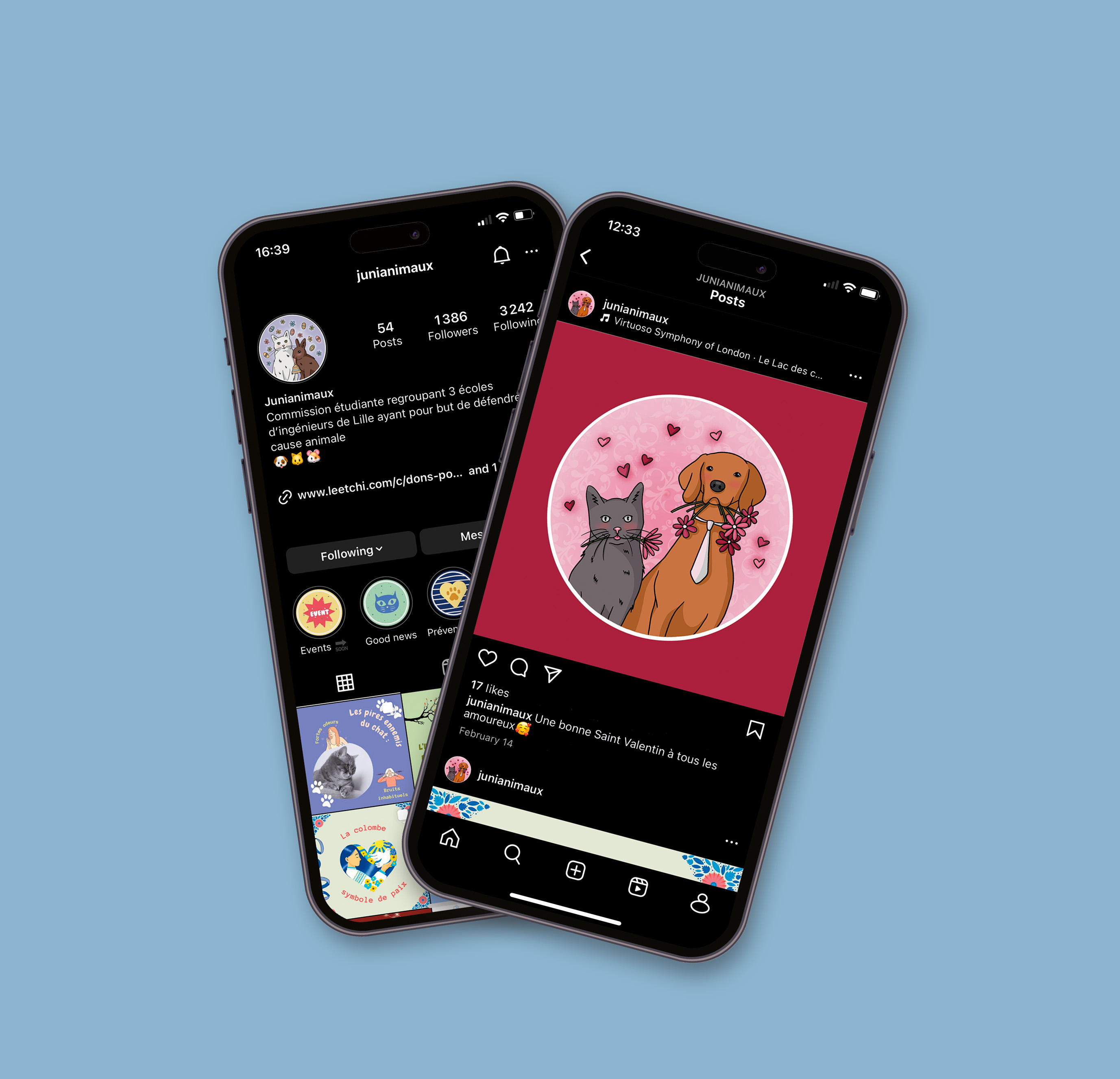 Junianimaux — mise en situation des illustrations sur Instagram